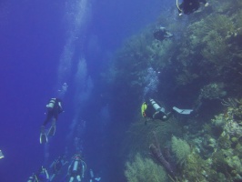 Divers IMG 7314